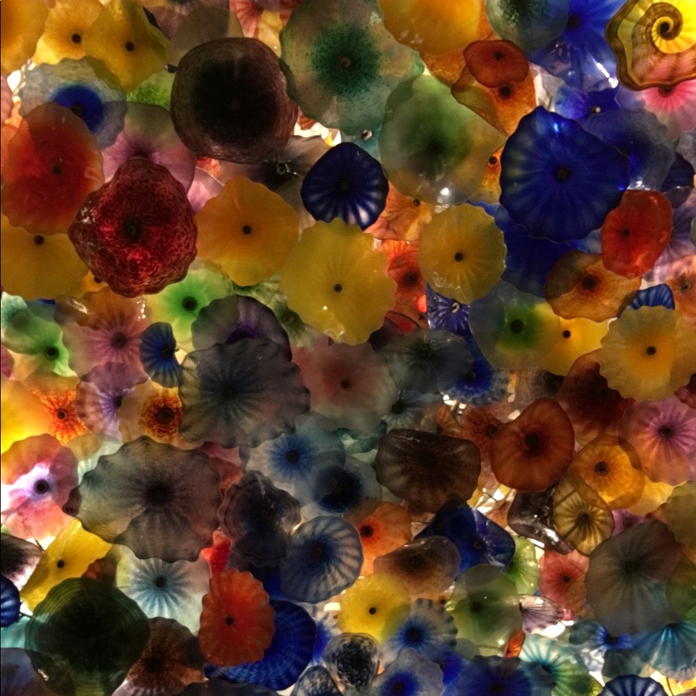 Meet your Posher, Melanie